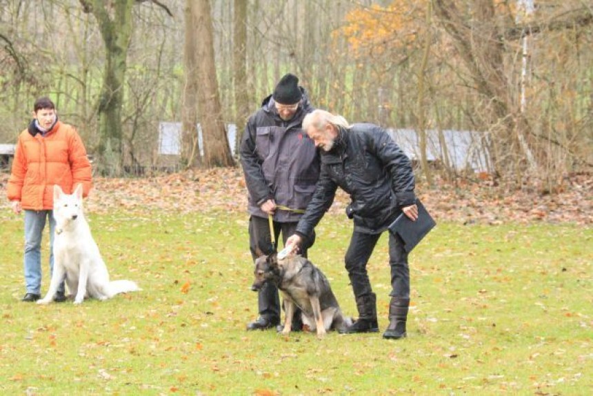 Chipablesung bei der Begleithundeprüfung
